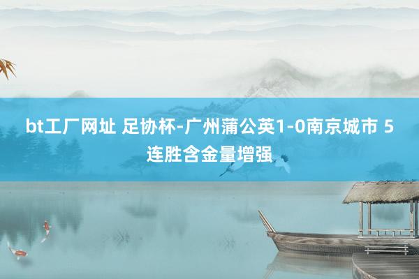 bt工厂网址 足协杯-广州蒲公英1-0南京城市 5连胜含金量增强