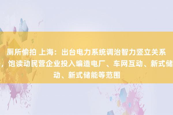 厕所偷拍 上海：出台电力系统调治智力竖立关系复旧战略，饱读动民营企业投入编造电厂、车网互动、新式储能等范围