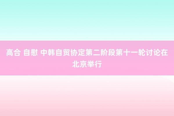 高合 自慰 中韩自贸协定第二阶段第十一轮讨论在北京举行