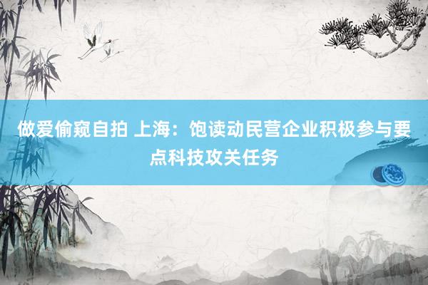 做爱偷窥自拍 上海：饱读动民营企业积极参与要点科技攻关任务