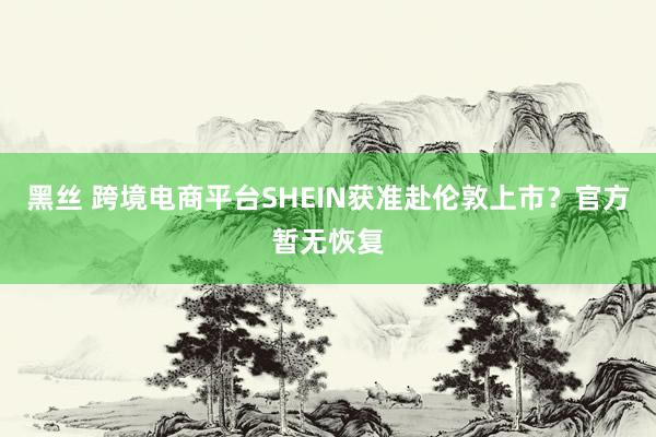 黑丝 跨境电商平台SHEIN获准赴伦敦上市？官方暂无恢复
