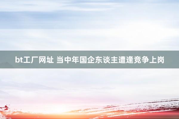 bt工厂网址 当中年国企东谈主遭逢竞争上岗