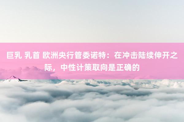 巨乳 乳首 欧洲央行管委诺特：在冲击陆续伸开之际，中性计策取向是正确的