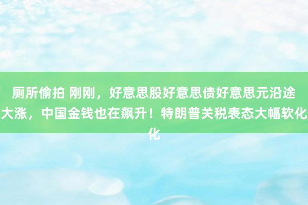 厕所偷拍 刚刚，好意思股好意思债好意思元沿途大涨，中国金钱也在飙升！特朗普关税表态大幅软化